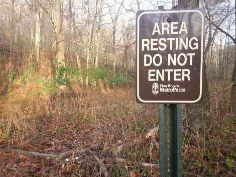 15747797765_3429a64eb2_o