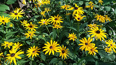 Quote: Give it Your All