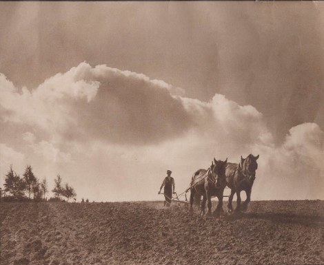 16223429882_cbca1b6dc0_z