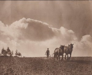 16223429882_cbca1b6dc0_z