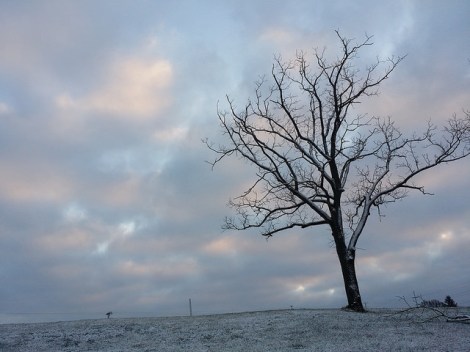 23411609961_00efa01e6d_z