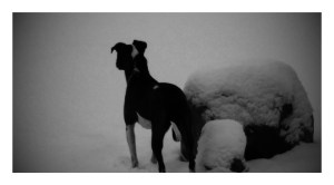 20160112_103030-EFFECTS