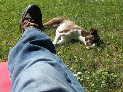 27848489006_51b603249d_z